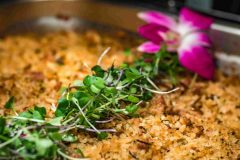 2H5A2252_11zon-scaled